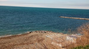 Анапа. 18 марта 2026