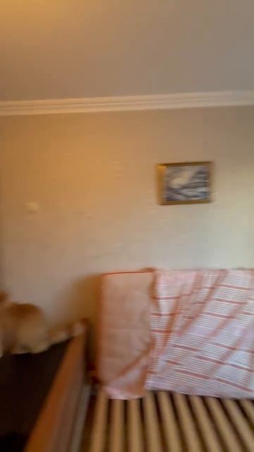 V9558 Ставрополь г., Туапсинская ул, квартира