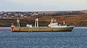 на рейде Фолклендских островов