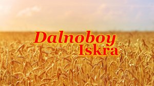 Отчет о двух поездках в Новосибирск. Зима, мороз и январь уже позади.