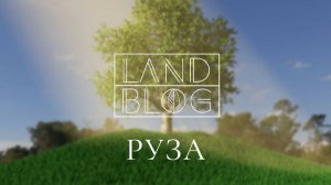 Сад в скандинавском природном стиле. Обзор объекта спустя 3 года. Интервью с нашим клиентом