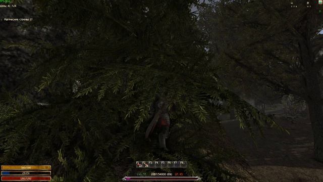 Стаи драгснепов у ТП