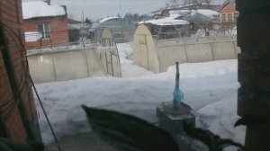 Пришла пора, показать вам мой домашний рассадник. Что уже растет на 18 марта. Западная Сибирь.ХМАО.