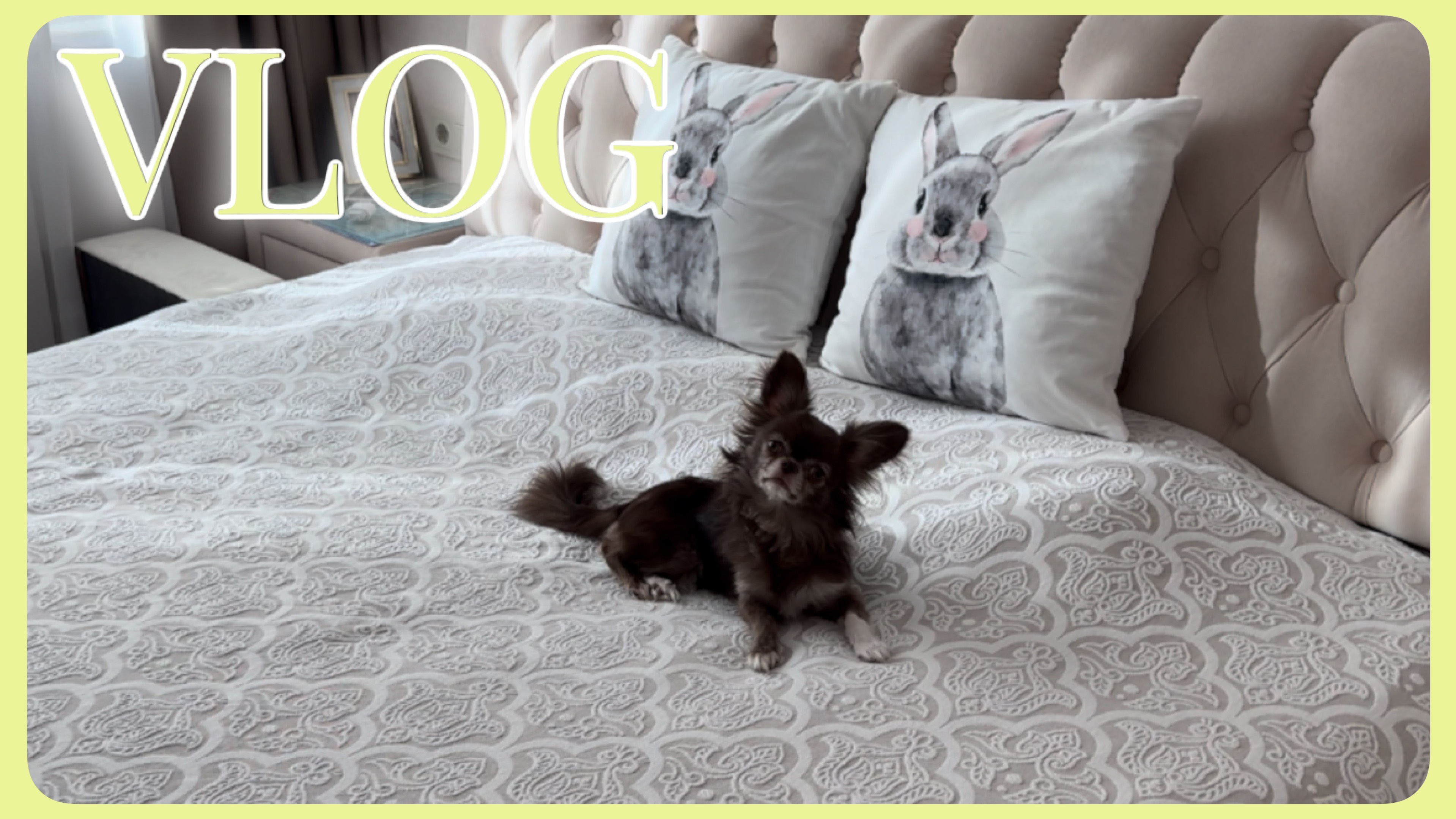 VLOG 18.03.2026 Он оказался умнее, чем я думала