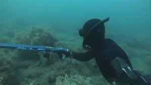 ПОДВОДНАЯ ОХОТА В  ЧЕРНОМ МОРЕ