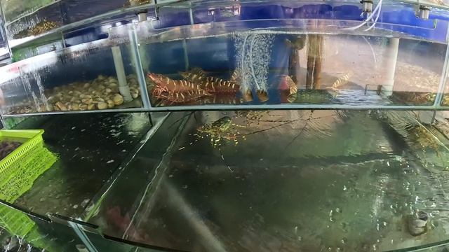 Еда во Вьетнаме