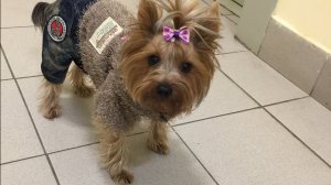 ГОТОВИМСЯ К ПОЕЗДКИ...