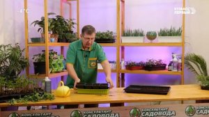 Уход на профилактику (Кузбасс Первый HD (Кемерово), 18.03.2026)