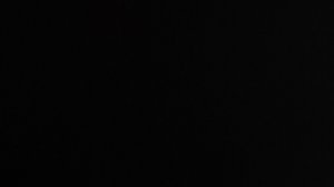 я всем известный кот учёный