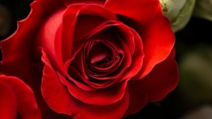 Шоу-театр «Начало» 15 лет