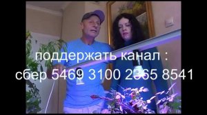 Подсветка растений. Фито -лампа своими руками