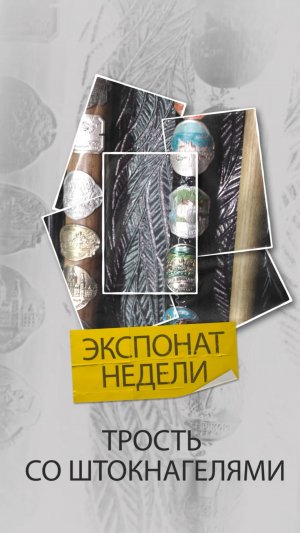 Трость со штокнагелями