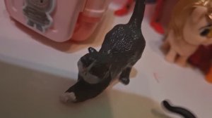 Коты распаковывают киндер-сюрприз