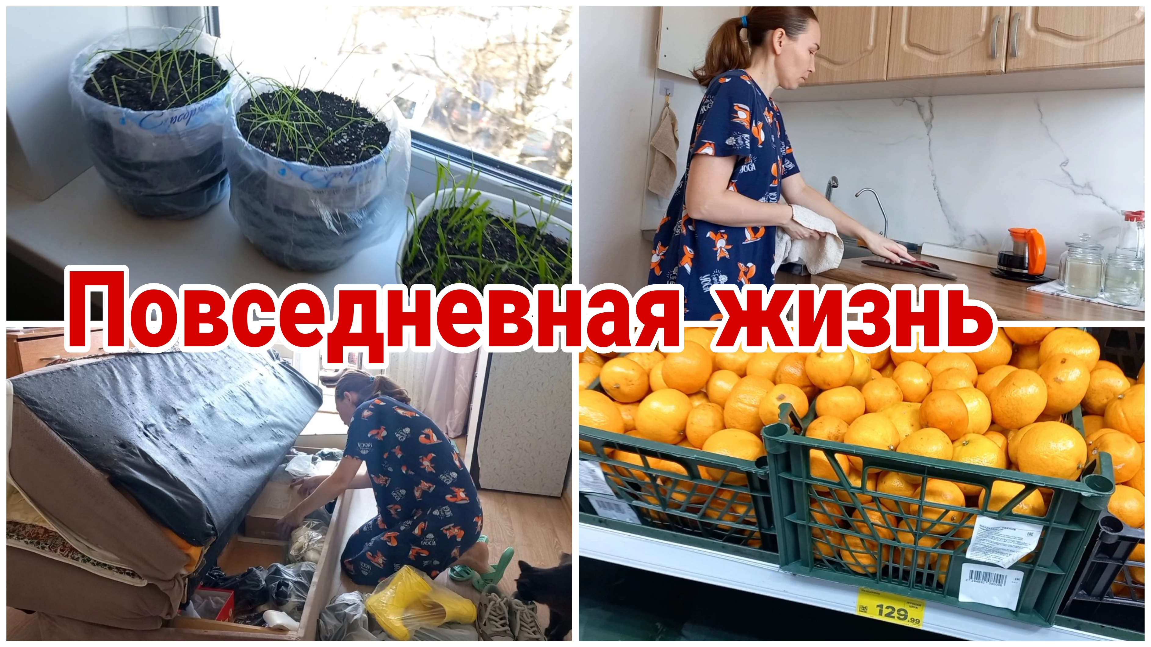 Моя повседневная жизнь// Выходной и рабочие будни