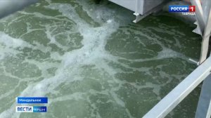 Сегодня Крым и Севастополь отмечают 12-ю годовщину воссоединения с Россией