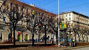 Работы на Новочеркасском проспекте