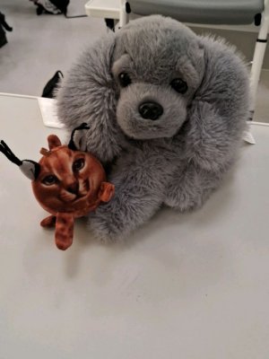 по сле школы 2