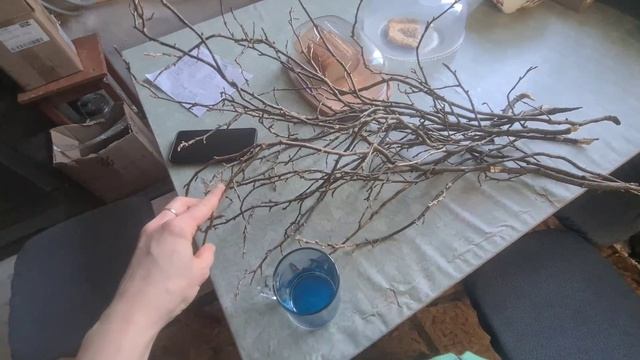 Принимаем поздравления, этот день настал!