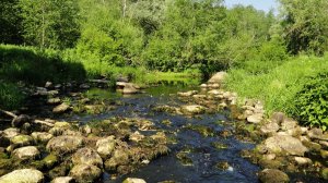 Высыхающая река