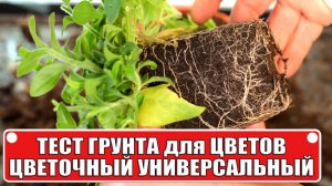 Весь рассадный сезон цветов — в одном грунте тест Агробалт цветочный универсальный
