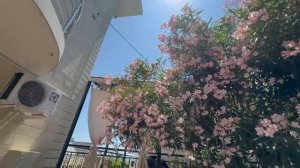 Гостевой дом