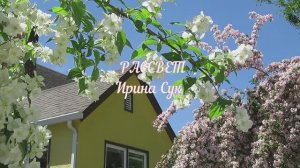 Рассвет - Ирина Сук