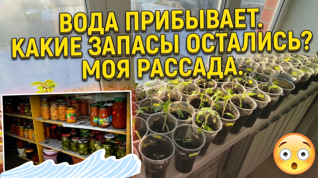 🌊Вода прибывает...Что с нашими запасами в погребе?🌱Где ставить рассаду?