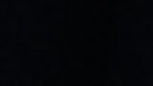 Общаюсь с вами показываю своего кота