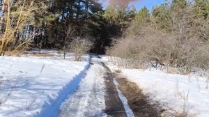 Пробежка 15 марта