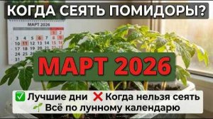 Когда сеять помидоры на рассаду в марте 2026 🌱 Благоприятные дни по лунному календарю
