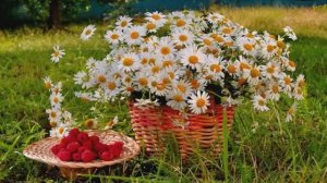 Татьяна Гейст А денёчки тают