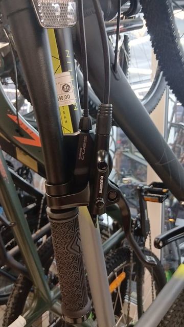 🚲 Лёгкие Custom Bikes от «ЧЕМПИОН» 🚲 NEON 29, NEVELIN 29, DELTA 29 смотреть онлайн
