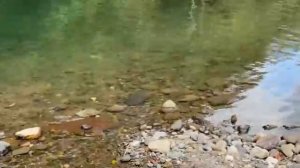 Живу вне сети в Портленде, Ямайка.