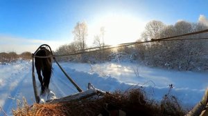 На розвальнях в лесной просеке в -20 С :-)