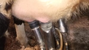 ВЕРНИ РЕБЕНКА МАТЕРИ я сказала// Как живут в деревне//