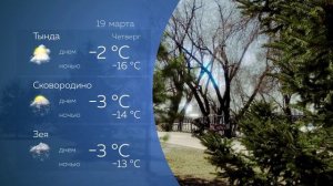 Прогноз погоды 19.03.2026