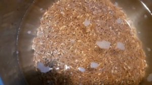 Полба со свежими грибами. Пошаговый рецепт.