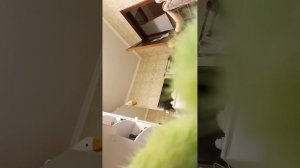 что это нахваталось и наснимала