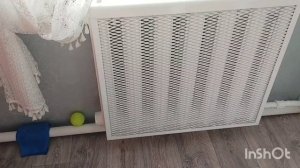 Грязью заросла/как живут в русской деревне..