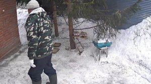 уборка вольного зоопарка