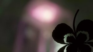 Hachimitsu to Clover - Waltz (Suneohair)