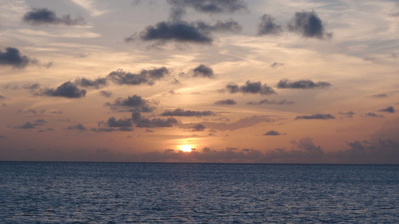 "Утро, вечер..." (стихи Юрия Левитанского)