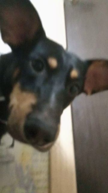 те самые ногти.