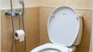 Биде на унитаз. Меняем шланг и лейку.