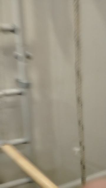 Гоняется за мной кот