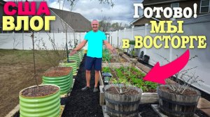 Мы закончили, получилось супер! Посадили "сад", высадили помидоры в марте⧸ Закупка саженцев в США