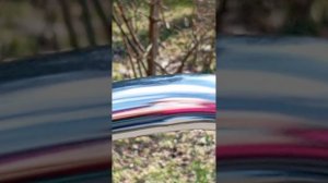 здеся света была в магозине пасматри 👍👍👍👍👍👍👍