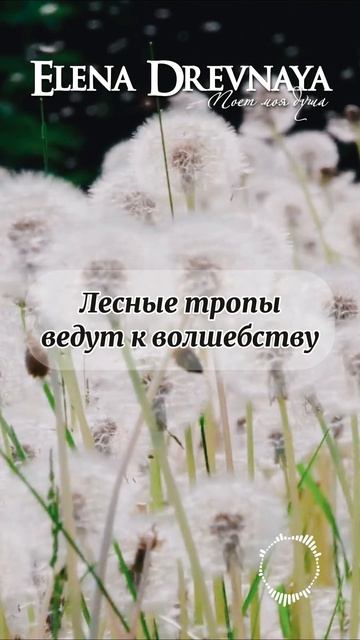 Elena Drevnaya "Разговор в лесу" #shorts