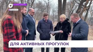 Спортивную площадку создадут в Покровском парке Владивостока