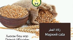 «Мархий саlа -زكاة الفطر» хьехам беш вар Леймой Ибрахlим
